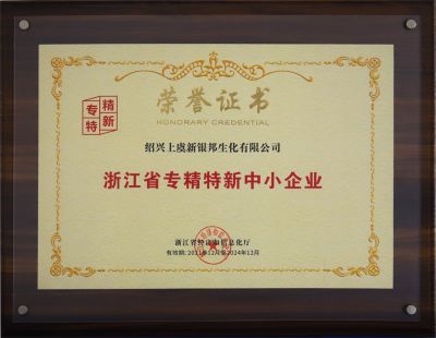 Zhejiang Province Specialized, Refined, Special, and New Small and Medium sized Enterprises